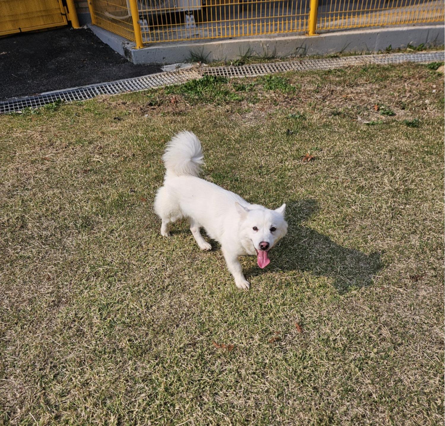 아산동물복지지원센터_444452202301940